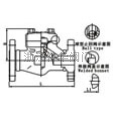 法蘭與對焊止回閥